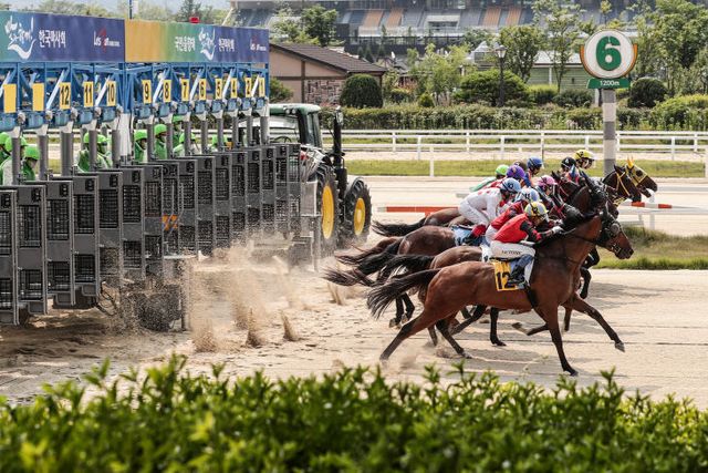 (부정기)(사진2)