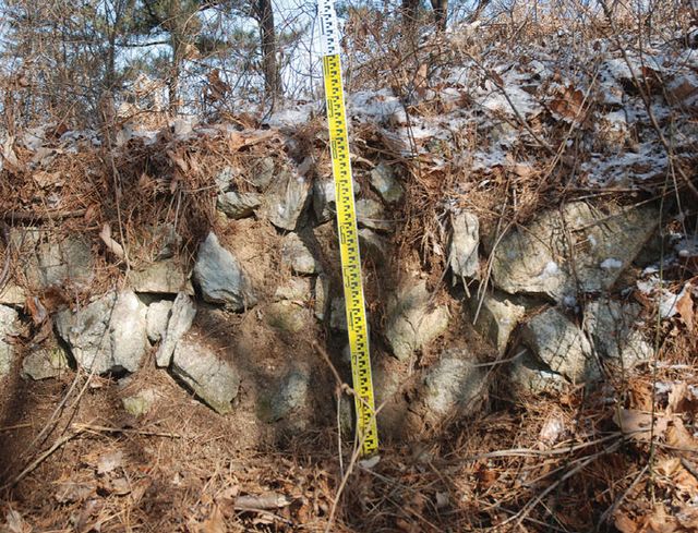 화면 캡처 2026-02-19 101017