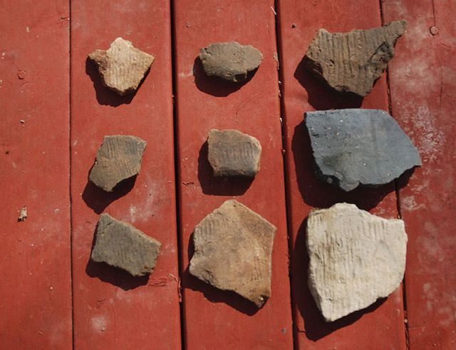 화면 캡처 2026-02-19 100913