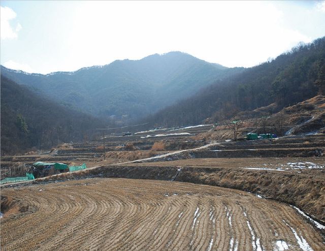 화면 캡처 2026-02-19 100758