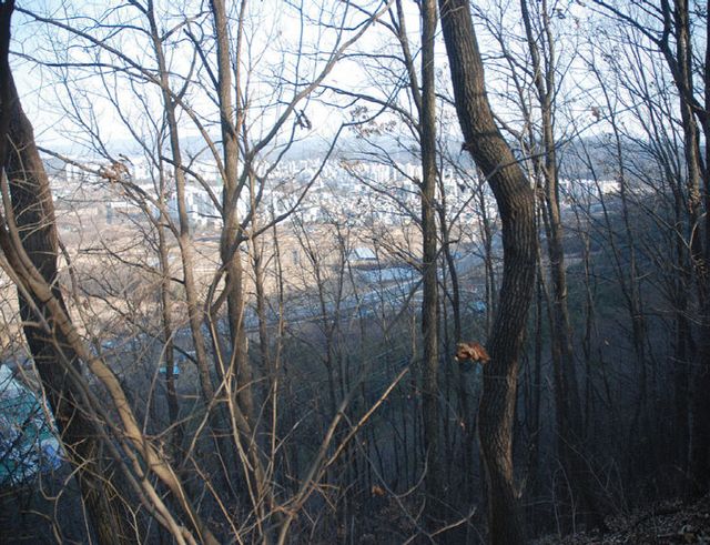 화면 캡처 2026-02-19 101129