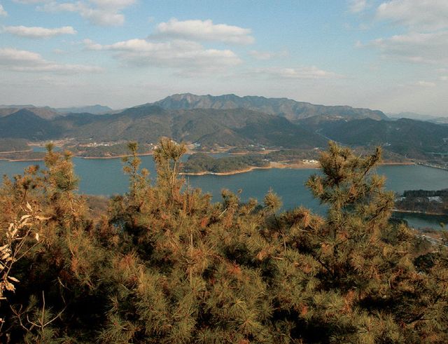 화면 캡처 2026-02-19 101305