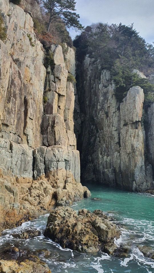 KakaoTalk_20260209_091900150