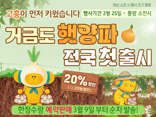 고흥군 고흥몰, 거금도 조생종 햇양파 첫 출시