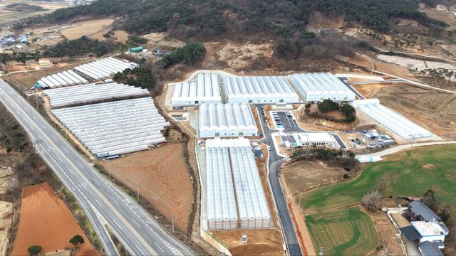 고창군 스마트팜 전경 드론사진