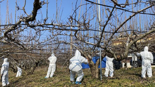 병해충 방제 약제 지원 신청 접수 (1)