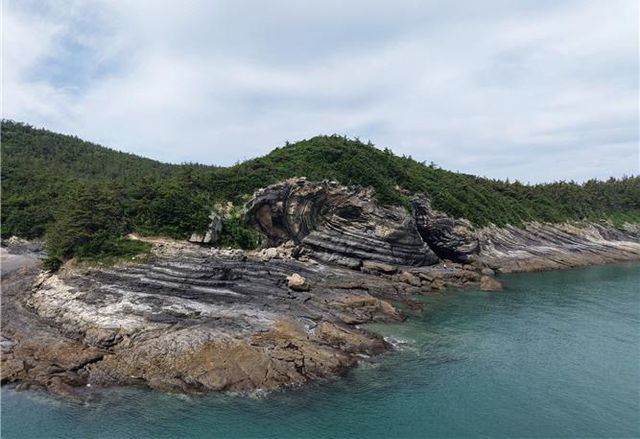 종합정비계획 용역 최종 보고회 개최