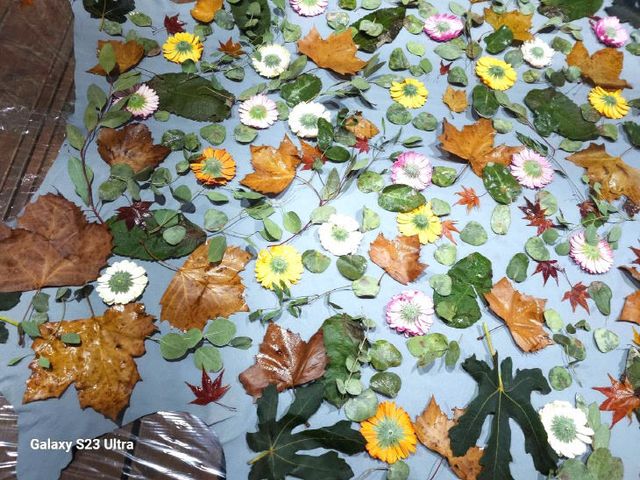 _1772063077861_661130676868576