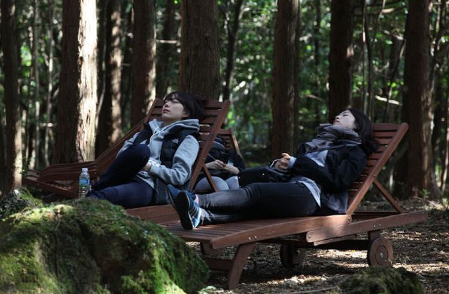 5eb6aff8-1e41-4889-8023-25de6cdd4f9b