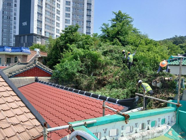 도시림 체계적 관리를 위한 녹지(수목)정비단 운영