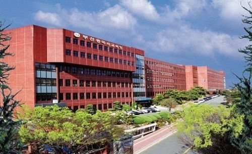 부산시교육청 전경(부산교육청 제공요)