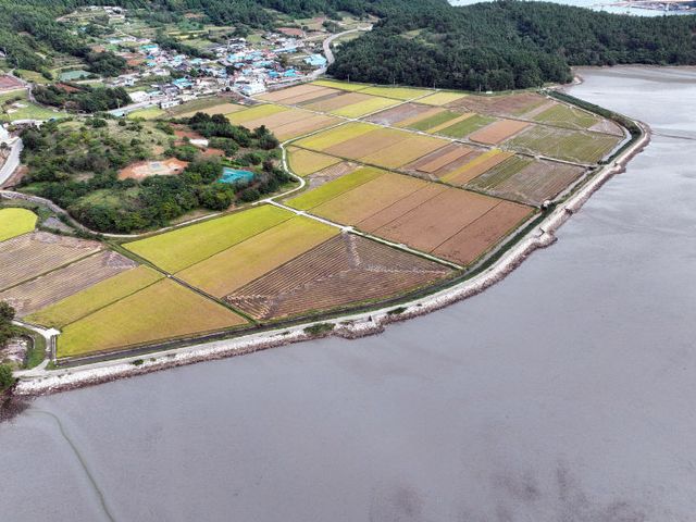1 회장 장산방조제 사진1