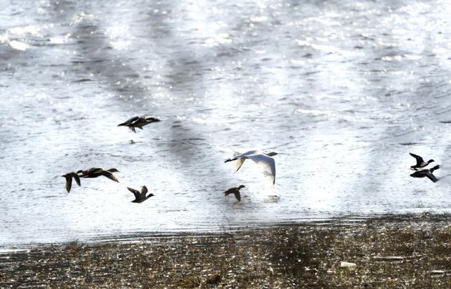 1770057469393.-1927580446_127178788225129