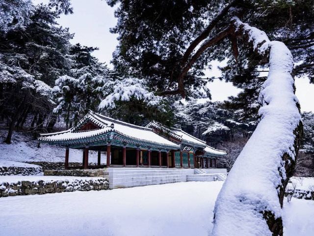 FB_IMG_1770109848935_184520664350911