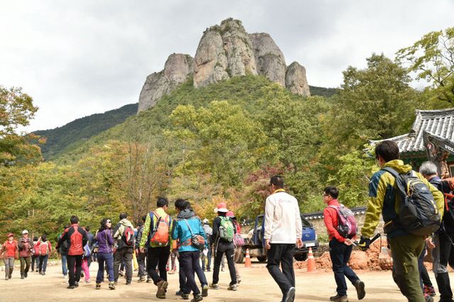 260206보도자료(청송군, 문화·자]) (1)