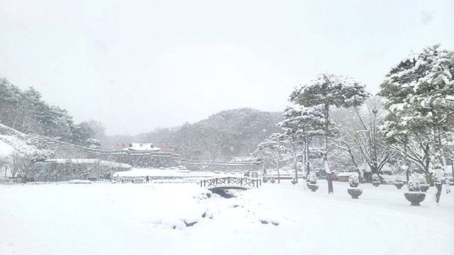 FB_IMG_1770520190341_377419512486909