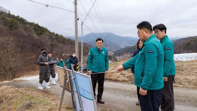 합천군, ASF 초동 대응 강화, 살처분·차단방역 총력
