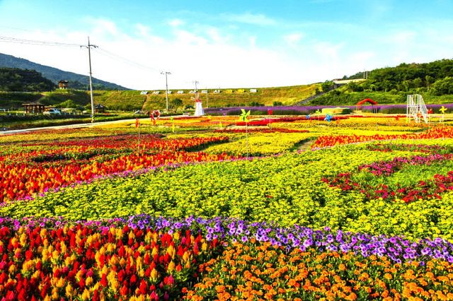 입장문 자료사진_고창꽃정원