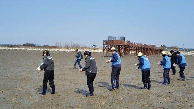 블루카본 조성을 위한 염생식물 파종행사 실시-2