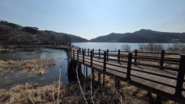 KakaoTalk_20260313_194522516