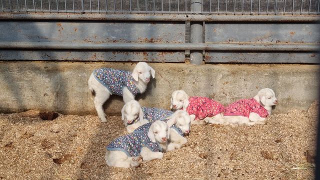 KakaoTalk_20260313_195114449