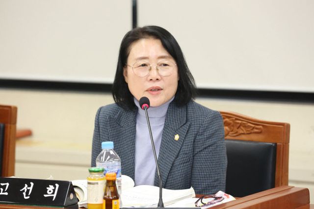 고선희 인천 서구의원