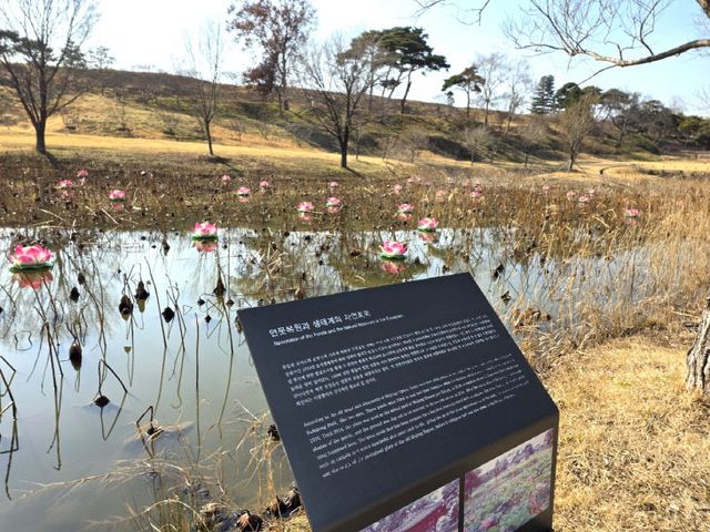 Resized_20260313_152232_230074458796398