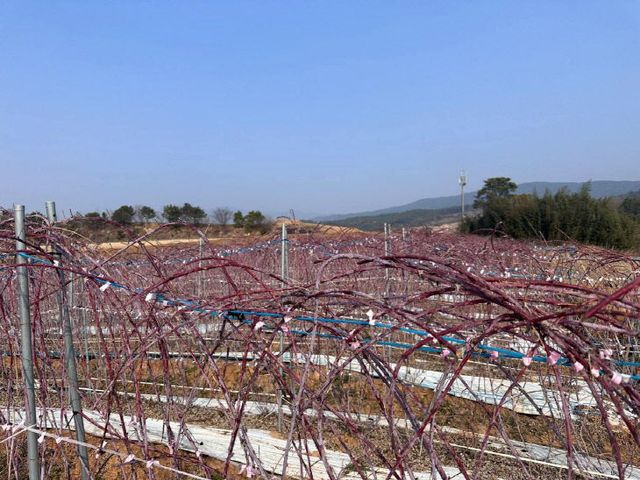 773615867489_7439084127476171359_3039111416