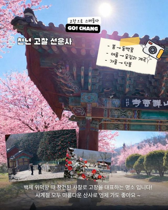 1773385141712_7438116393423355040_2072128542