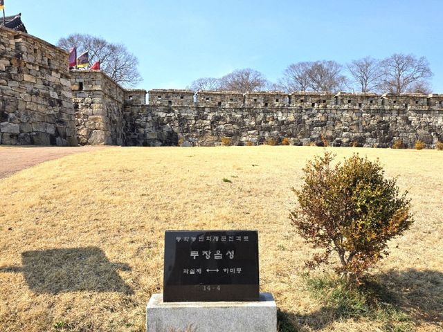 Resized_20260313_150123_229807928514052