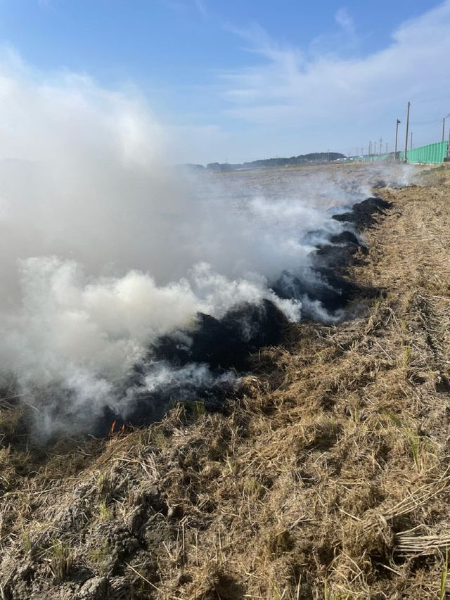 봄철 논,밭두렁 소각 및 산불예방 당부 (사진)