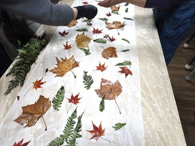 Resized_20260316_164414_17954599778201