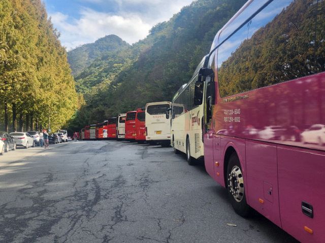 KakaoTalk_20260317_153607475_01