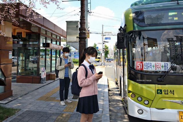 시내버스 전면 무료 다음달 1일 시행