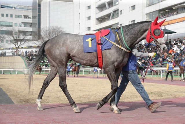 글라디우스_25년 동아일보배 출전모습