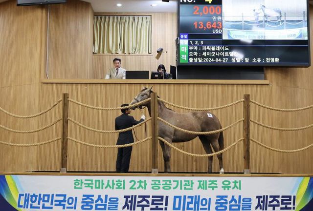 (부정기1)(사진1) 경주마 경매 현장