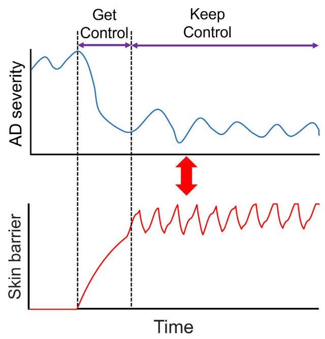 부산대 연구 이미지1