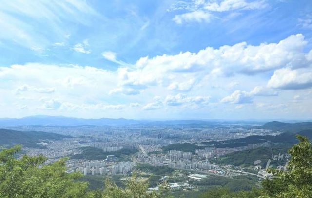 식장산 전망대_2025-06-30_4