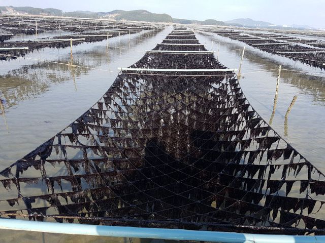 20221228_133447_resized