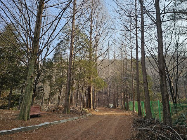 KakaoTalk_20260303_161453889_09