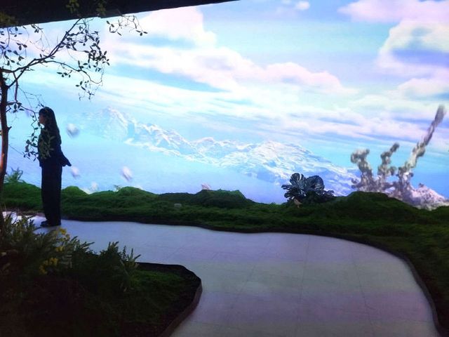 FB_IMG_1772638723200_896141045014343