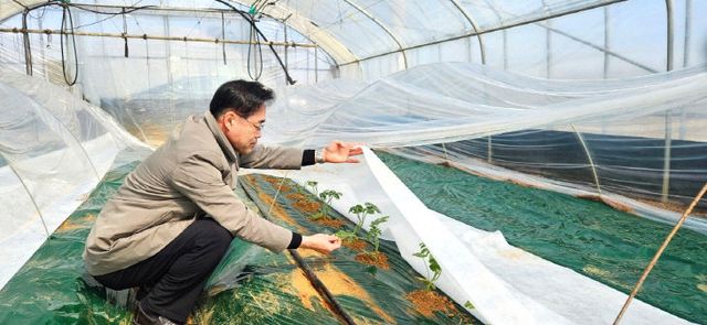 772949729026_7436290140254751813_1312853524