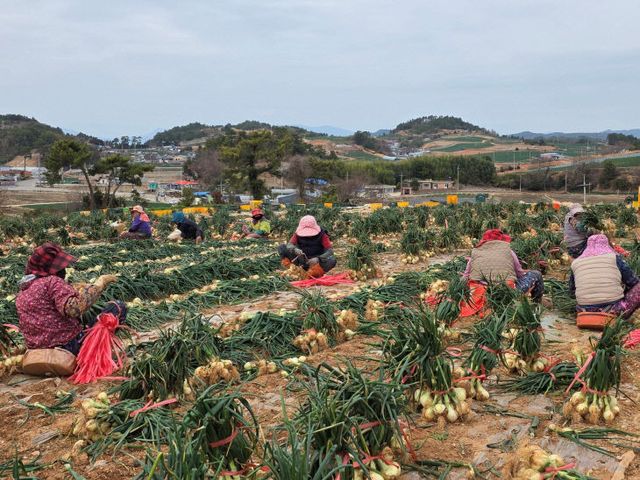 여성농업인 활동2
