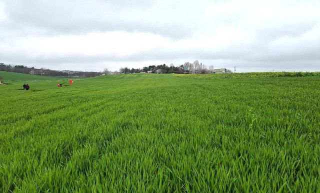 775804246733_7448262855291193135_5911965378