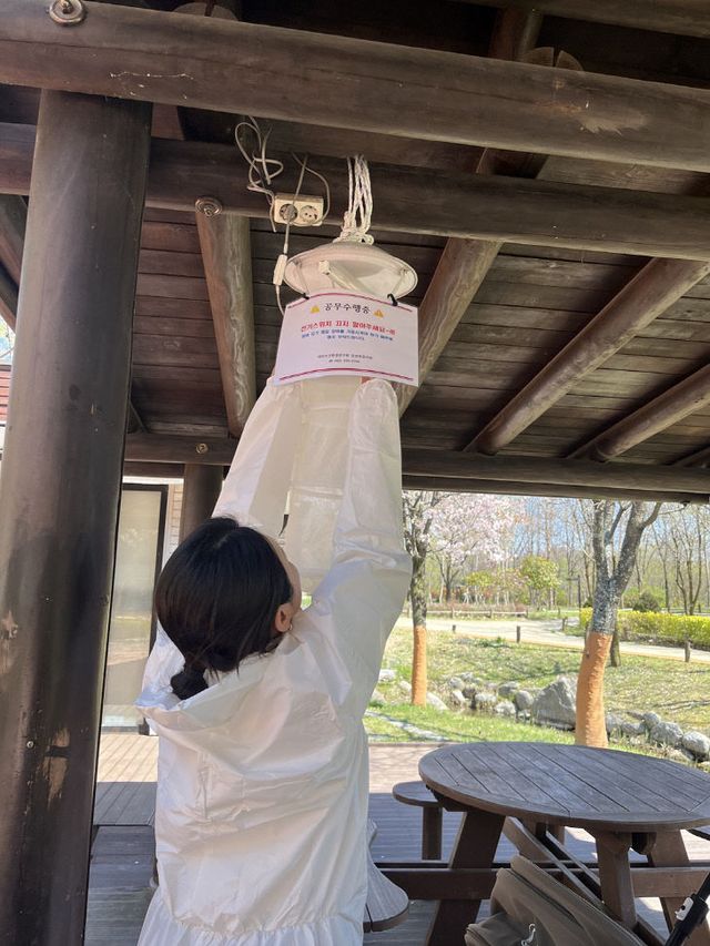 4. 매개체 전파 감염병 감시사업 본격 추진 2