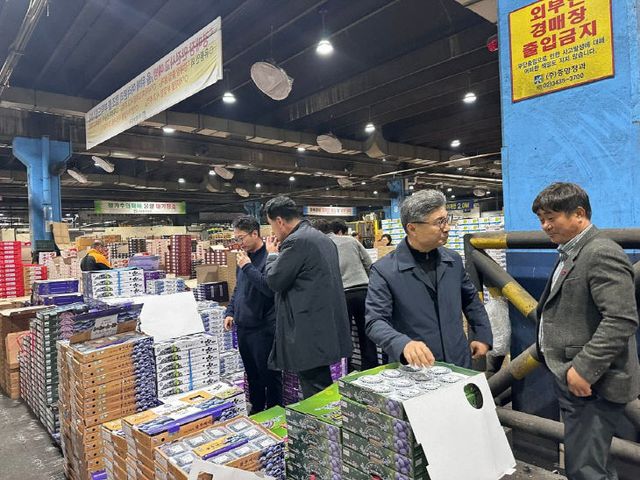 1775880108785_7448581043800061560_6263929184