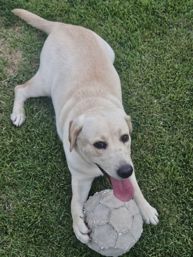 4.14 김해시 정례브리핑 보도자료(농업기술센터)6원