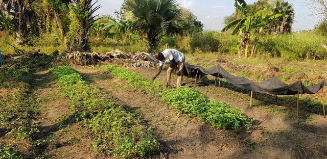 KakaoTalk_20260409_165153624_05