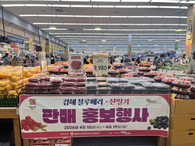 4.16(김해 명품 블루베리 산딸기 만나보세요)1