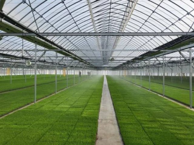 7450654327266091742_132096533102732